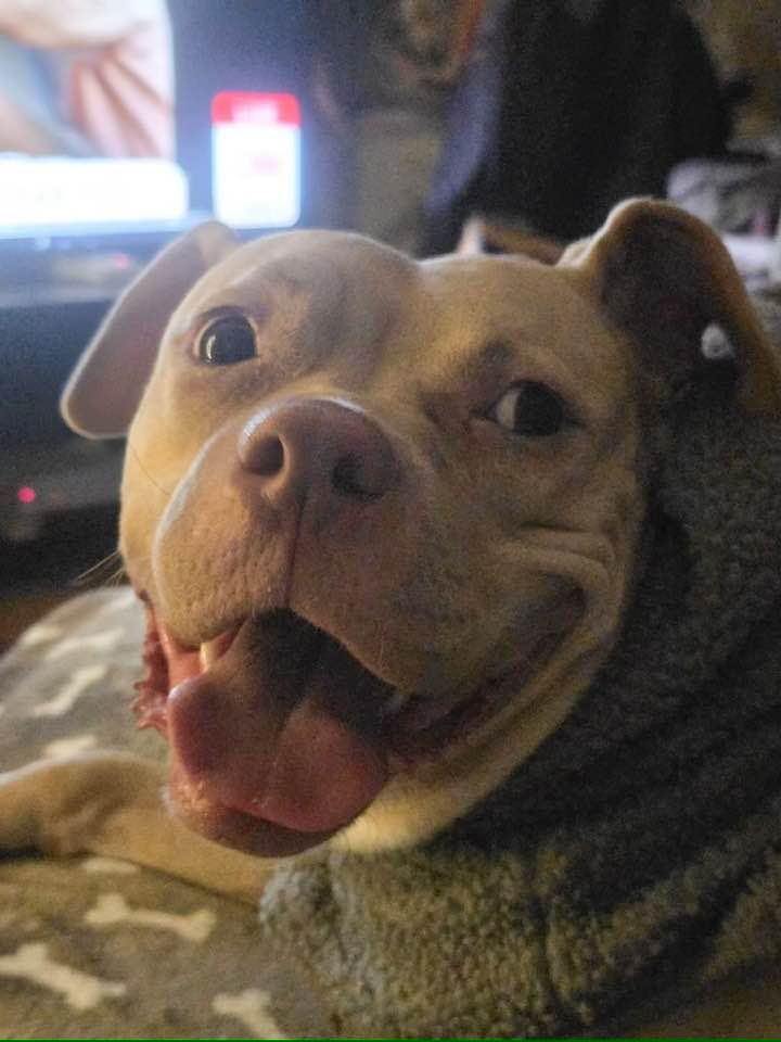 Nova is loving her new life up north.