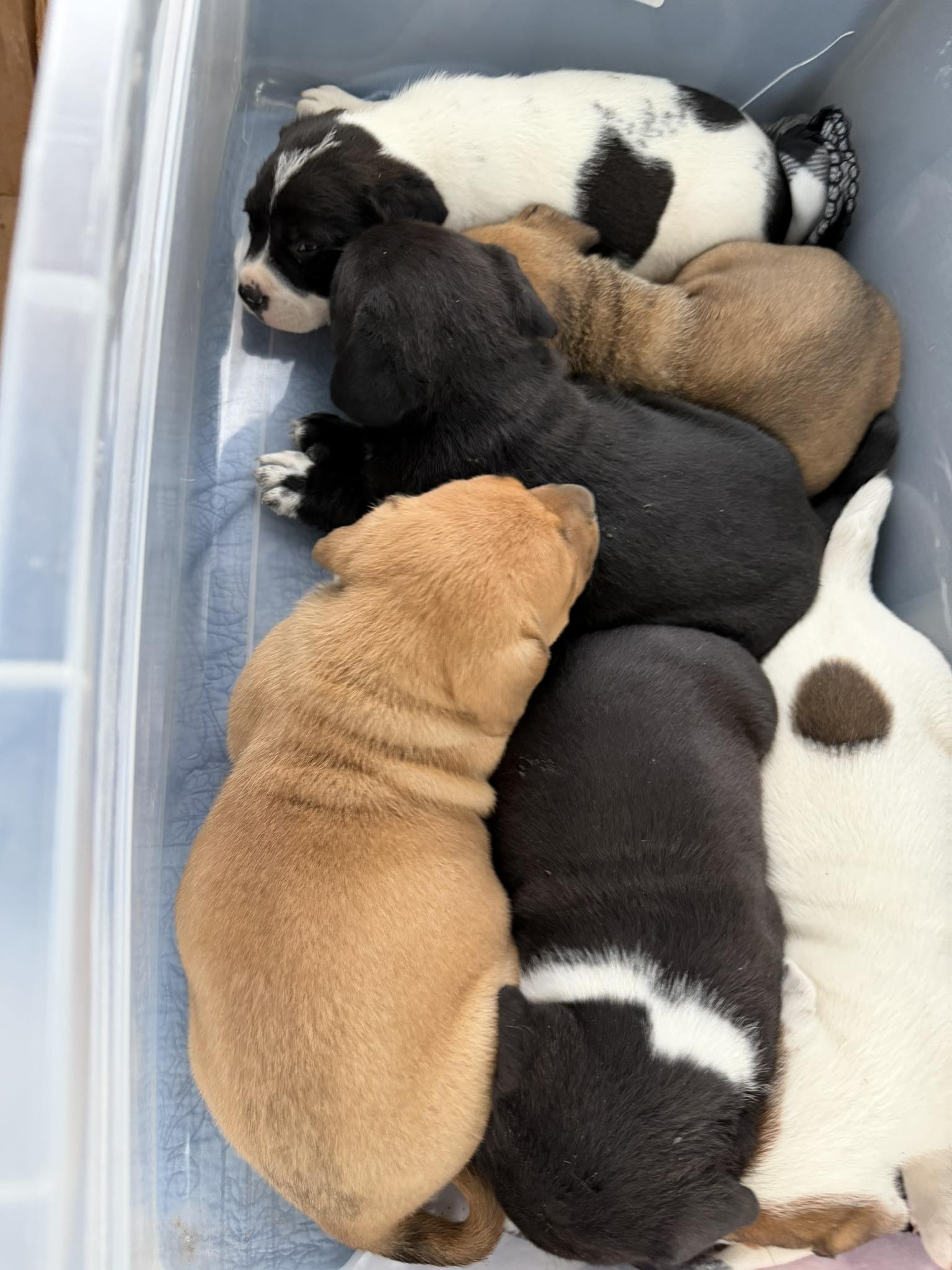 We are busting at the seams!