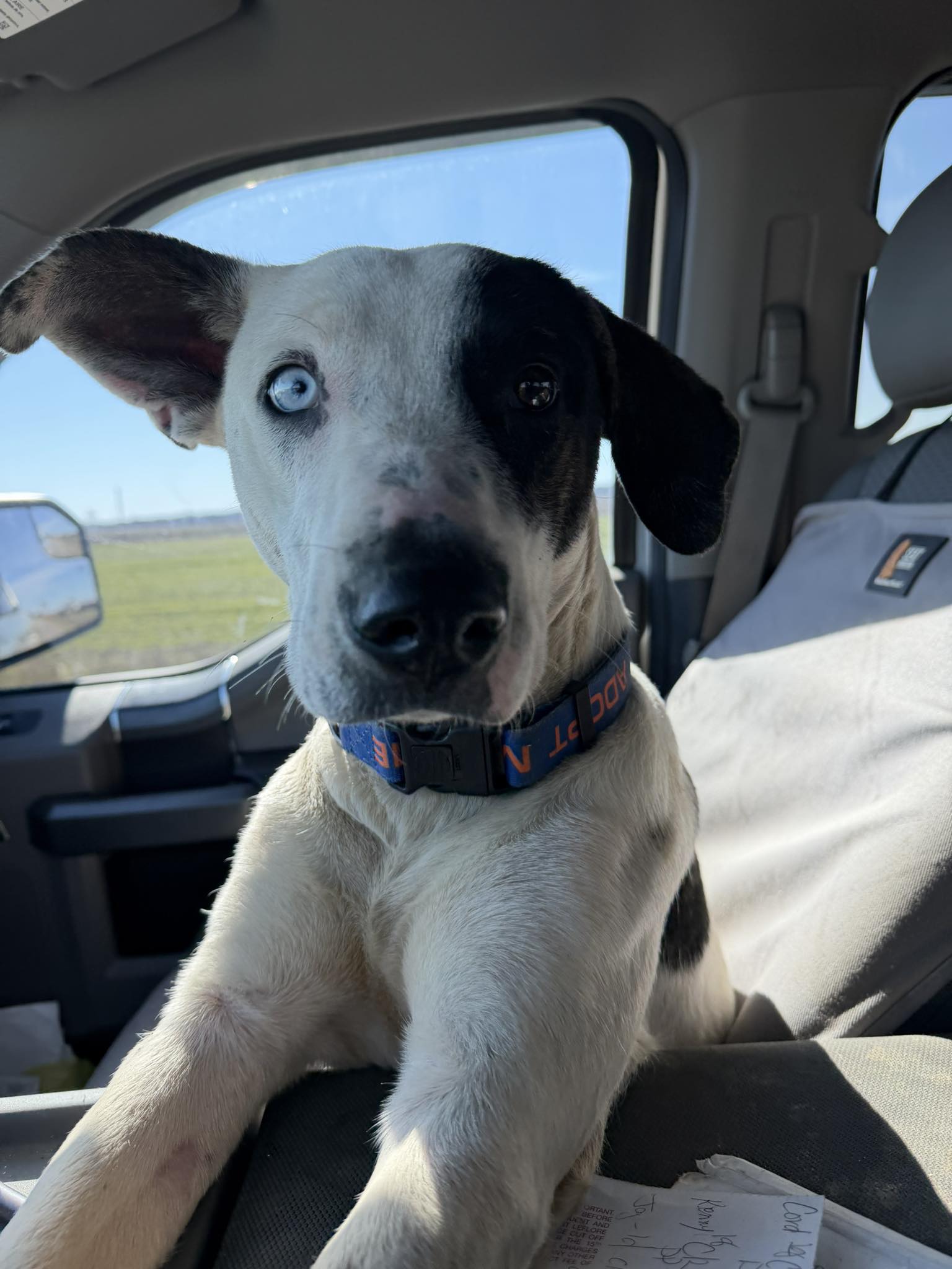 Did someone say Sonic for lunch!