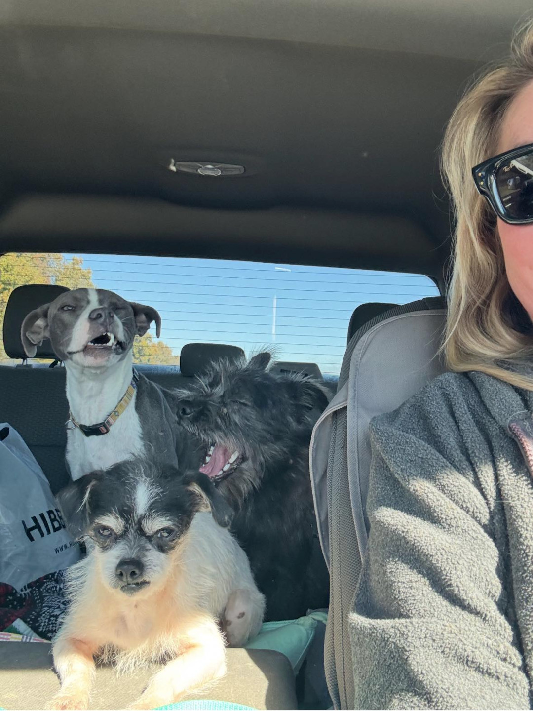 Heading to the V-E-T.